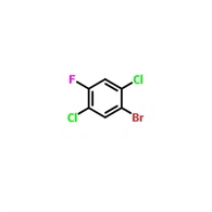 CAS 1160573-74-9 |1-Bromo-2, 5-dikloro-4-fluorobenseen