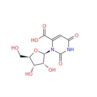 CAS:314-50-1|OROTIDIIN